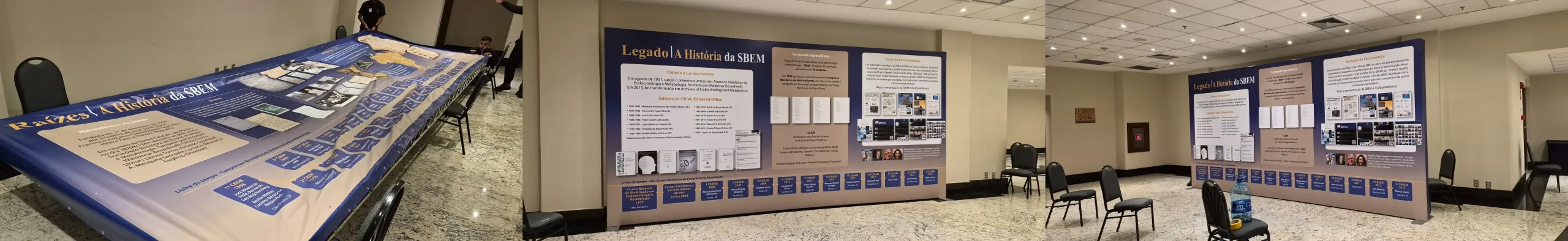 Quem somos: painel da história da Sociedade Brasileira de Endocrinologia e Metabologia (SBEM)