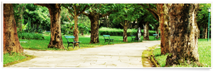 Parque das Aguas